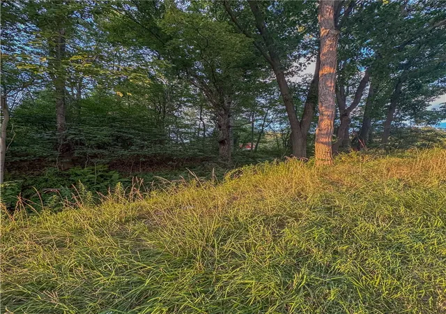 Photo 3 of Land for sale at 000 National Pike, Henry Clay Twp, PA 15459 | MLS# 1769152 | Listing updated on 2026-08-11