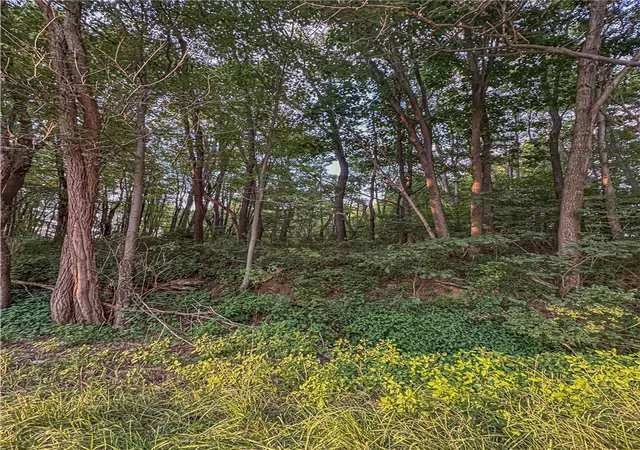 Photo 4 of Land for sale at 000 National Pike, Henry Clay Twp, PA 15459 | MLS# 1769152 | Listing updated on 2026-08-11