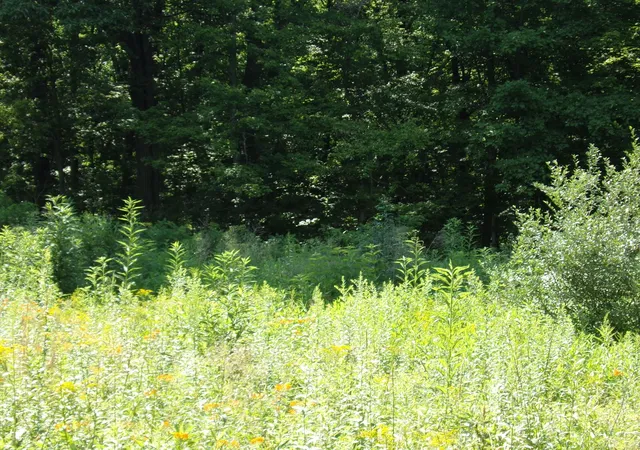 Photo 3 of Land for sale at Lot 9 Applewood Dr, Lower Burrell, PA 15068 | MLS# 1769905 | Listing updated on 2026-08-14
