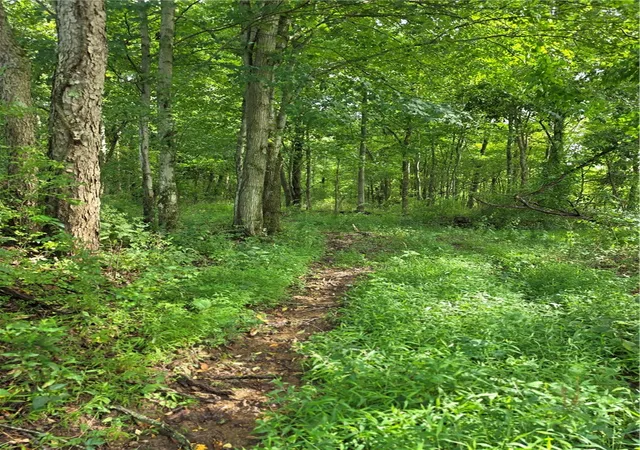Photo 4 of Land for sale at 168 Dinnerbell Rd, Penn Twp, PA 16001 | MLS# 1770182 | Listing updated on 2026-08-18