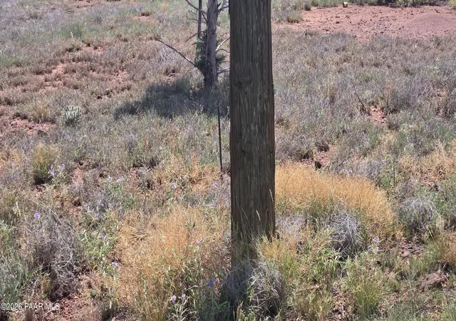 Photo 3 of Land for sale at 2470 N Luana Dr, Williams, AZ 86046 | MLS# 1084155 | Listing updated on 2026-10-02