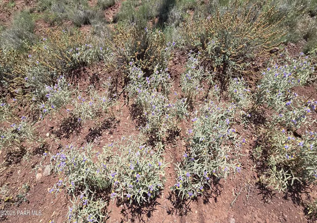 Photo 4 of Land for sale at 2470 N Luana Dr, Williams, AZ 86046 | MLS# 1084155 | Listing updated on 2026-10-02