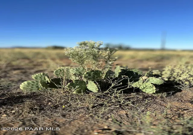 6th image of 770 W Antelope Run Rd, Paulden, AZ 86334 | MLS# 1084425