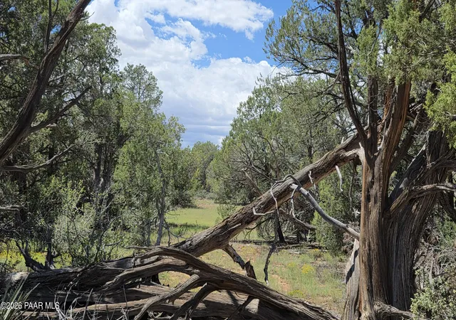 1st image of Lot 51 Off Rising Rock Rd, Ash Fork, AZ 86320 | MLS# 1084519