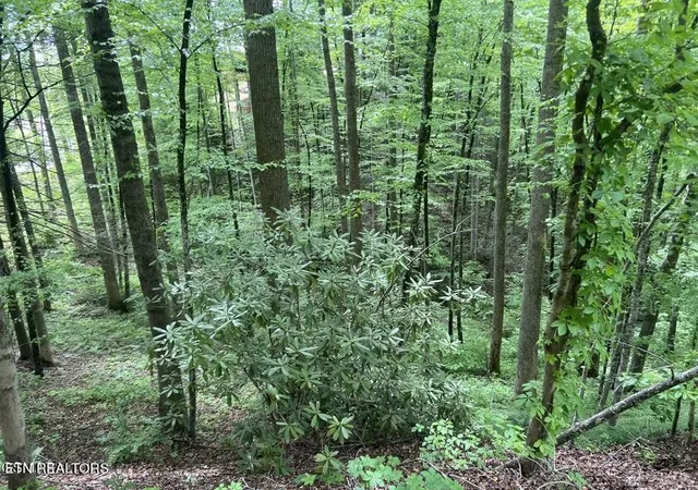 2nd image of 3 Old Cartertown Rd, Gatlinburg, TN 37738 | MLS# 3514598