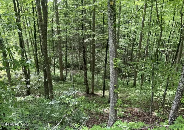 3rd image of 3 Old Cartertown Rd, Gatlinburg, TN 37738 | MLS# 3514598