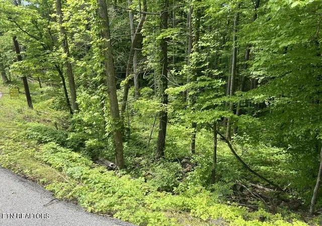 4th image of 3 Old Cartertown Rd, Gatlinburg, TN 37738 | MLS# 3514598
