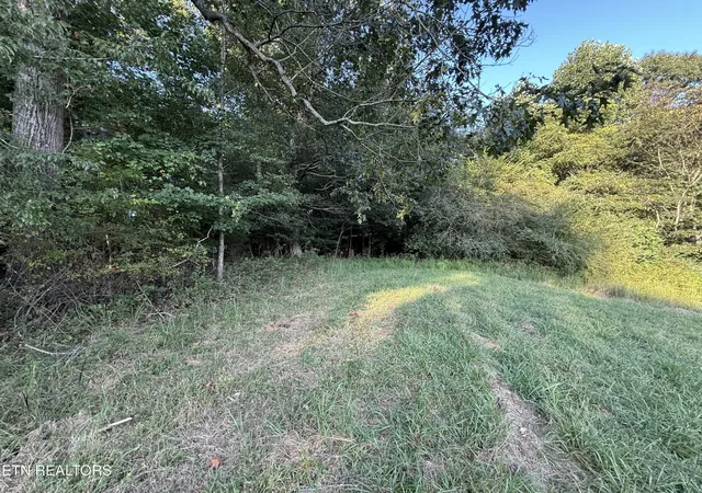 Photo 4 of Land for sale at 1305 Sweetwater Rd, Philadelphia, TN 37846 | MLS# 3529198 | Listing updated on 2026-09-02