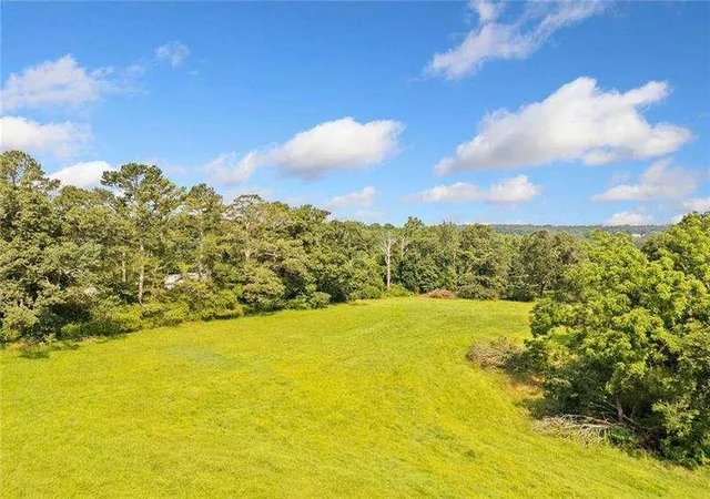 Land for sale at 187 Long Rd, Ball Ground, GA 30107 | MLS# 7827490