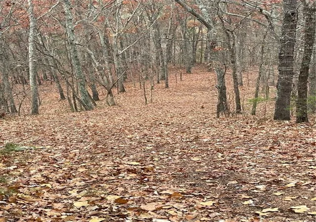 Photo 2 of Land for sale at 356 Orieole Ct, Ranger, GA 30734 | MLS# 7799776 | Listing updated on 2026-08-25