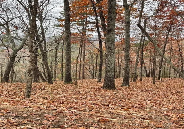 Photo 3 of Land for sale at 356 Orieole Ct, Ranger, GA 30734 | MLS# 7799776 | Listing updated on 2026-08-25