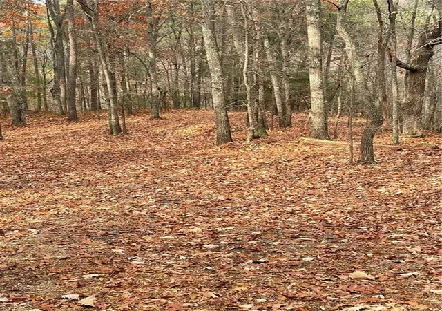 Photo 3 of Land for sale at 356 Orieole Ct, Ranger, GA 30734 | MLS# 7799776 | Listing updated on 2026-08-25