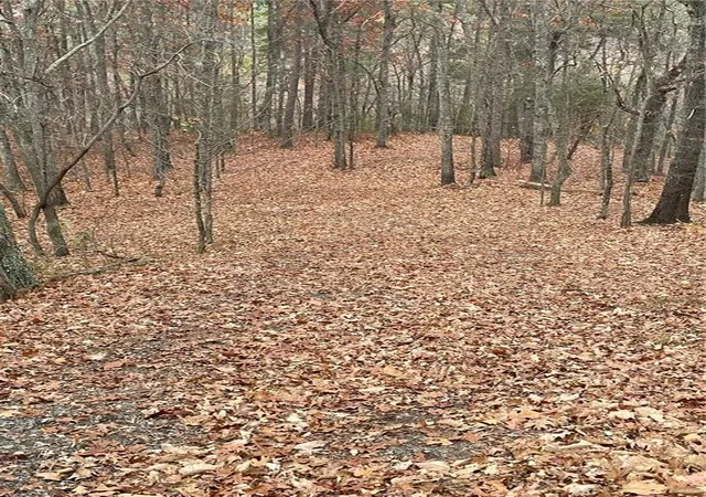 Photo 4 of Land for sale at 356 Orieole Ct, Ranger, GA 30734 | MLS# 7799776 | Listing updated on 2026-08-25