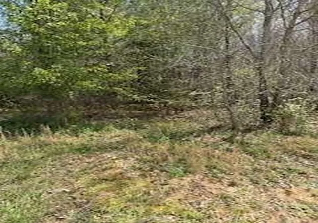 5th image of 390 Fields Rd, Cedartown, GA 30125 | MLS# 7827221