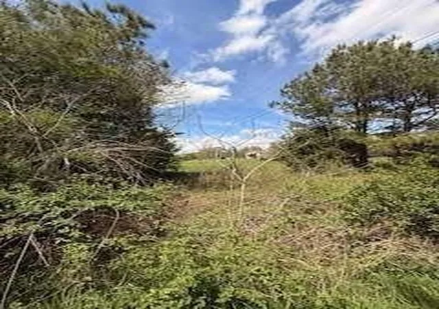 7th image of 390 Fields Rd, Cedartown, GA 30125 | MLS# 7827221