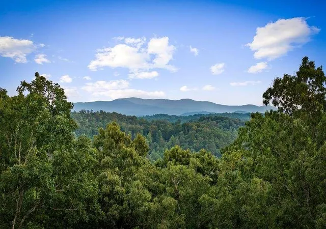 Photo 2 of Single family home for sale at 241 Wolf Crk Mountain Rd, Mineral Bluff, GA 30559 | MLS# 7792688 | Listing updated on 2026-08-26