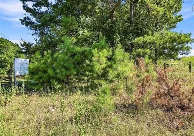 13th image of 0 Ozora Church Rd, Loganville, GA 30052 | MLS# 7826610
