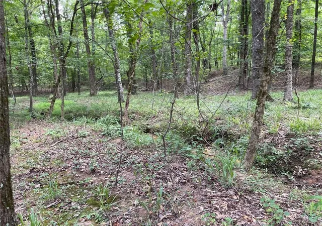 Photo 3 of Land for sale at 148 Harmony Bay Dr, Eatonton, GA 31024 | MLS# 7822291 | Listing updated on 2026-08-25