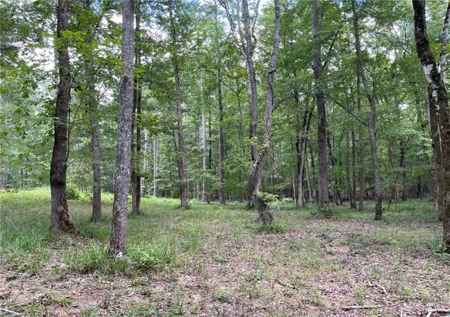 Photo 3 of Land for sale at 148 Harmony Bay Dr, Eatonton, GA 31024 | MLS# 7822291 | Listing updated on 2026-08-25