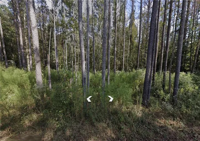 Photo 1 of Land for sale at 0 Holly Road, Bowdon, GA 30108 | MLS# 7827179 | Listing updated on 2026-08-25