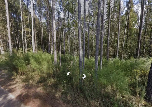 Photo 3 of Land for sale at 0 Holly Road, Bowdon, GA 30108 | MLS# 7827179 | Listing updated on 2026-08-25