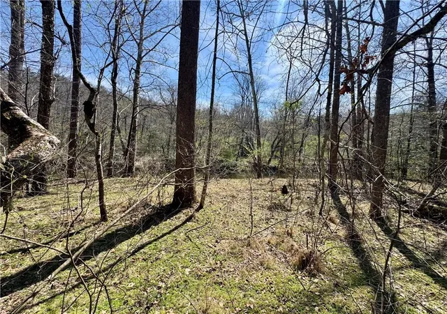 Photo 28 of Sale Pending at 0 Lewis Grindle Parcel 1 Rd, Dahlonega, GA 30533 | MLS# 7736120 | Listing updated on 2026-09-12