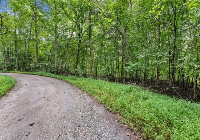 Photo 3 of Sale Pending at 0 Lewis Grindle Parcel 1 Rd, Dahlonega, GA 30533 | MLS# 7736120 | Listing updated on 2026-09-12
