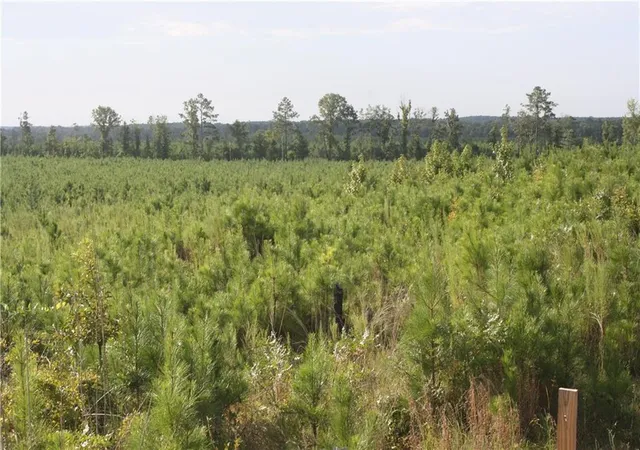 Photo 2 of Land for sale at 0 Balerma Church Rd, Sparta, GA 31087 | MLS# 7828135 | Listing updated on 2026-09-28