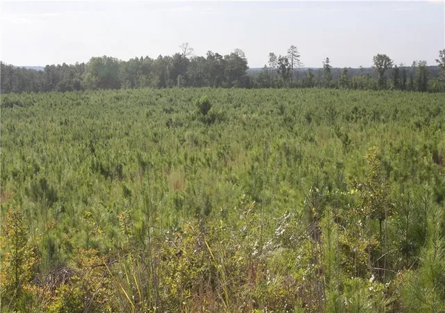 Photo 3 of Land for sale at 0 Balerma Church Rd, Sparta, GA 31087 | MLS# 7828135 | Listing updated on 2026-09-28