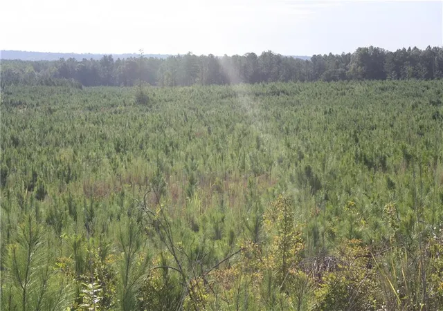 Photo 3 of Land for sale at 0 Balerma Church Rd, Sparta, GA 31087 | MLS# 7828135 | Listing updated on 2026-09-28