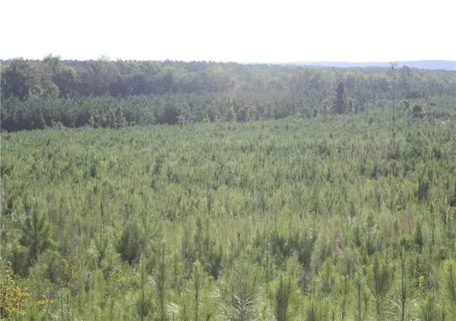 Photo 4 of Land for sale at 0 Balerma Church Rd, Sparta, GA 31087 | MLS# 7828135 | Listing updated on 2026-09-28