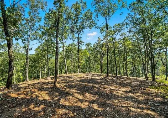 Photo 2 of Land for sale at 0 Debord Dr, Waleska, GA 30183 | MLS# 7827499 | Listing updated on 2026-08-27
