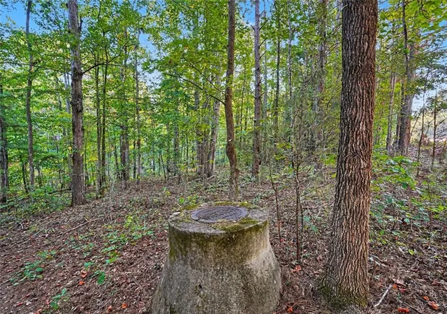 Photo 2 of Land for sale at 0 Locust Grove Rd, Locust Grove, GA 30248 | MLS# 7827013 | Listing updated on 2026-08-26
