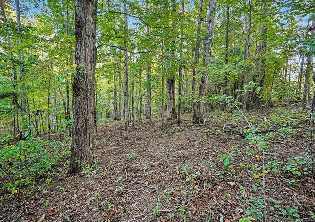 Photo 3 of Land for sale at 0 Locust Grove Rd, Locust Grove, GA 30248 | MLS# 7827013 | Listing updated on 2026-08-26