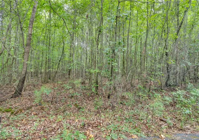 Photo 7 of Land for sale at 3735 Millstream Ln, Stockbridge, GA 30281 | MLS# 7827486 | Listing updated on 2026-08-27