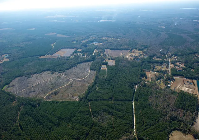 Photo 3 of Sale Pending at Tbd Grahamville Rd, Conway, SC 29526 | MLS# 2515390 | Listing updated on 2026-09-26