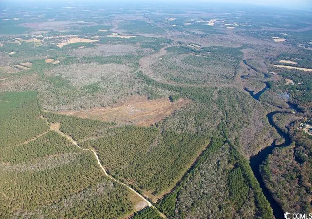 Photo 4 of Sale Pending at Tbd Grahamville Rd, Conway, SC 29526 | MLS# 2515390 | Listing updated on 2026-09-26