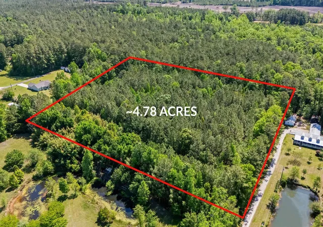 Photo 3 of Land for sale at Tbd Rodney Rd, Conway, SC 29526 | MLS# 2611226 | Listing updated on 2026-10-06