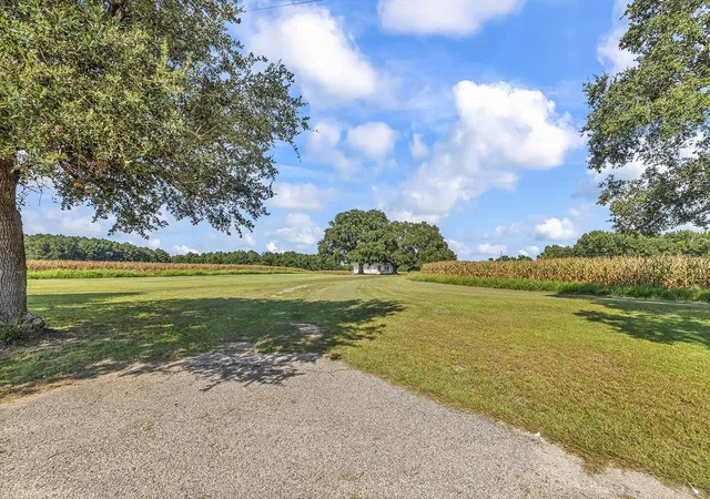 Photo 3 of Single family home for sale at 3568 Alcolu St, Alcolu, SC 29001 | MLS# 2619218 | Listing updated on 2026-08-30