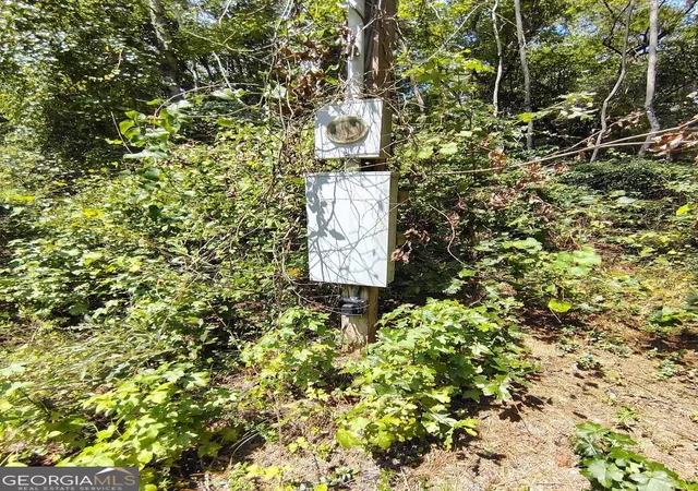 Photo 3 of Land for sale at 2260 Athens Hwy, Greensboro, GA 30642 | MLS# 10822388 | Listing updated on 2026-08-30