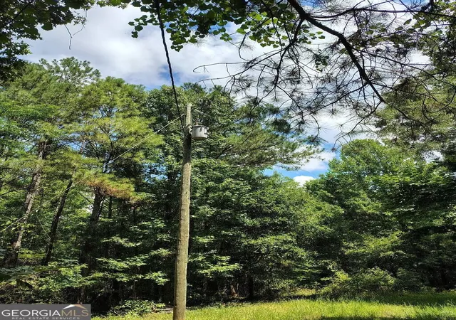 Photo 4 of Land for sale at 2260 Athens Hwy, Greensboro, GA 30642 | MLS# 10822388 | Listing updated on 2026-08-30