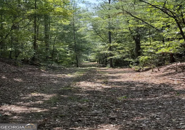 Photo 2 of Land for sale at 0 Oak Valley Dr, Macon, GA 31217 | MLS# 10831868 | Listing updated on 2026-09-14