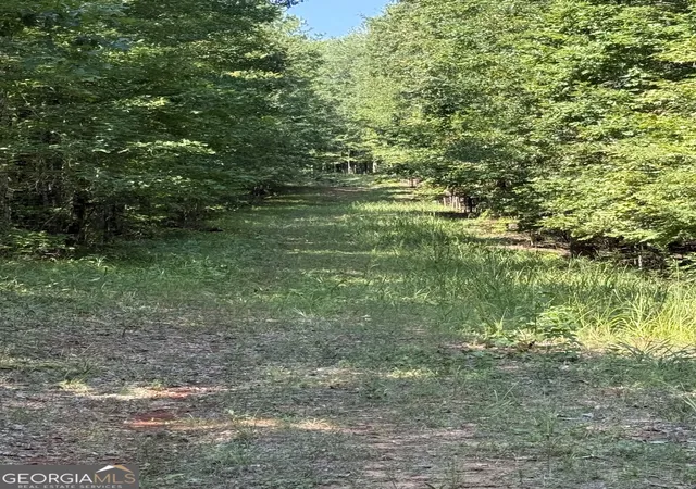 Photo 3 of Land for sale at 0 Oak Valley Dr, Macon, GA 31217 | MLS# 10831868 | Listing updated on 2026-09-14