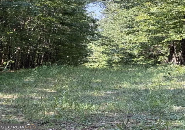 Photo 3 of Land for sale at 0 Oak Valley Dr, Macon, GA 31217 | MLS# 10831868 | Listing updated on 2026-09-14
