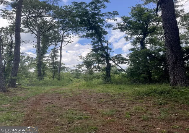 Photo 1 of Sale Pending at 00 Anderson Road, Woodland, GA 31836 | MLS# 10836030 | Listing updated on 2026-09-28