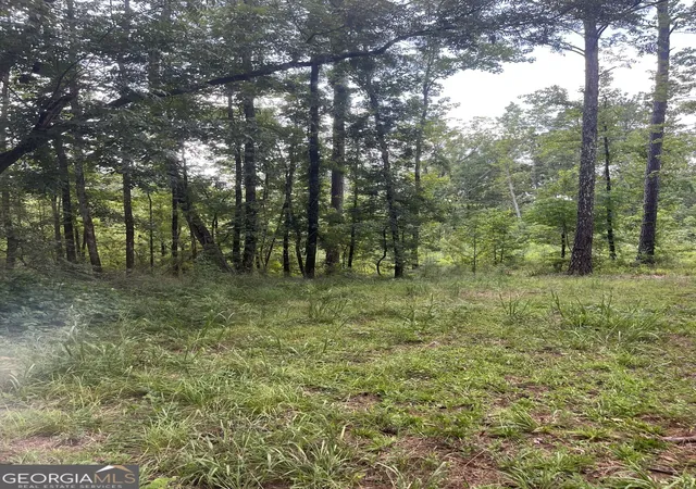 Photo 3 of Sale Pending at 00 Anderson Road, Woodland, GA 31836 | MLS# 10836030 | Listing updated on 2026-09-28