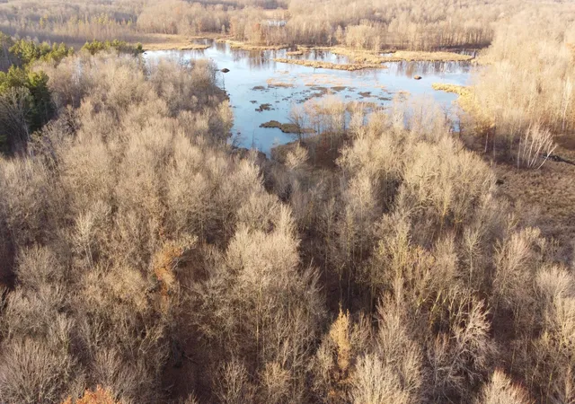 Photo 1 of Land for sale at Tbd 240th Street, Luck, WI 54853 | MLS# 7129077 | Listing updated on 2026-08-18