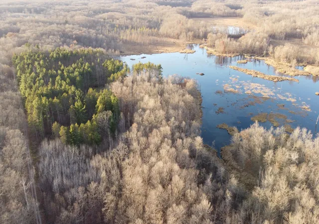 Photo 2 of Land for sale at Tbd 240th Street, Luck, WI 54853 | MLS# 7129077 | Listing updated on 2026-08-18