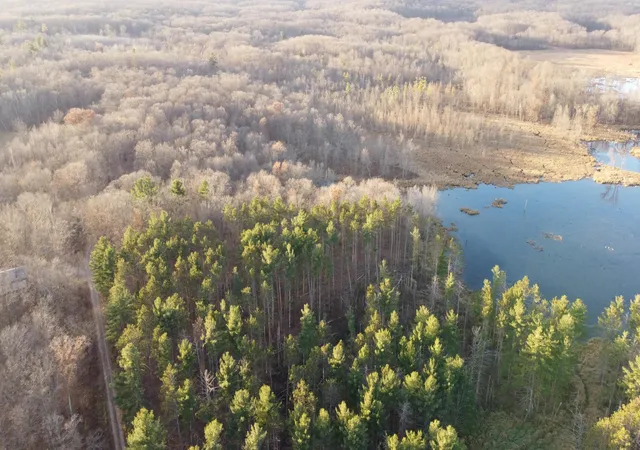 Photo 3 of Land for sale at Tbd 240th Street, Luck, WI 54853 | MLS# 7129077 | Listing updated on 2026-08-18