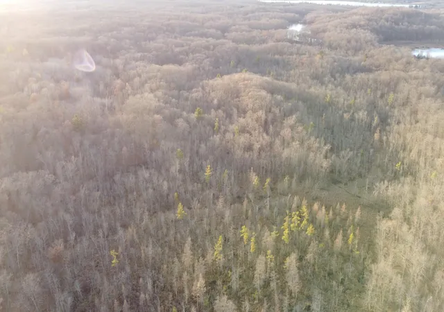 Photo 4 of Land for sale at Tbd 240th Street, Luck, WI 54853 | MLS# 7129077 | Listing updated on 2026-08-18